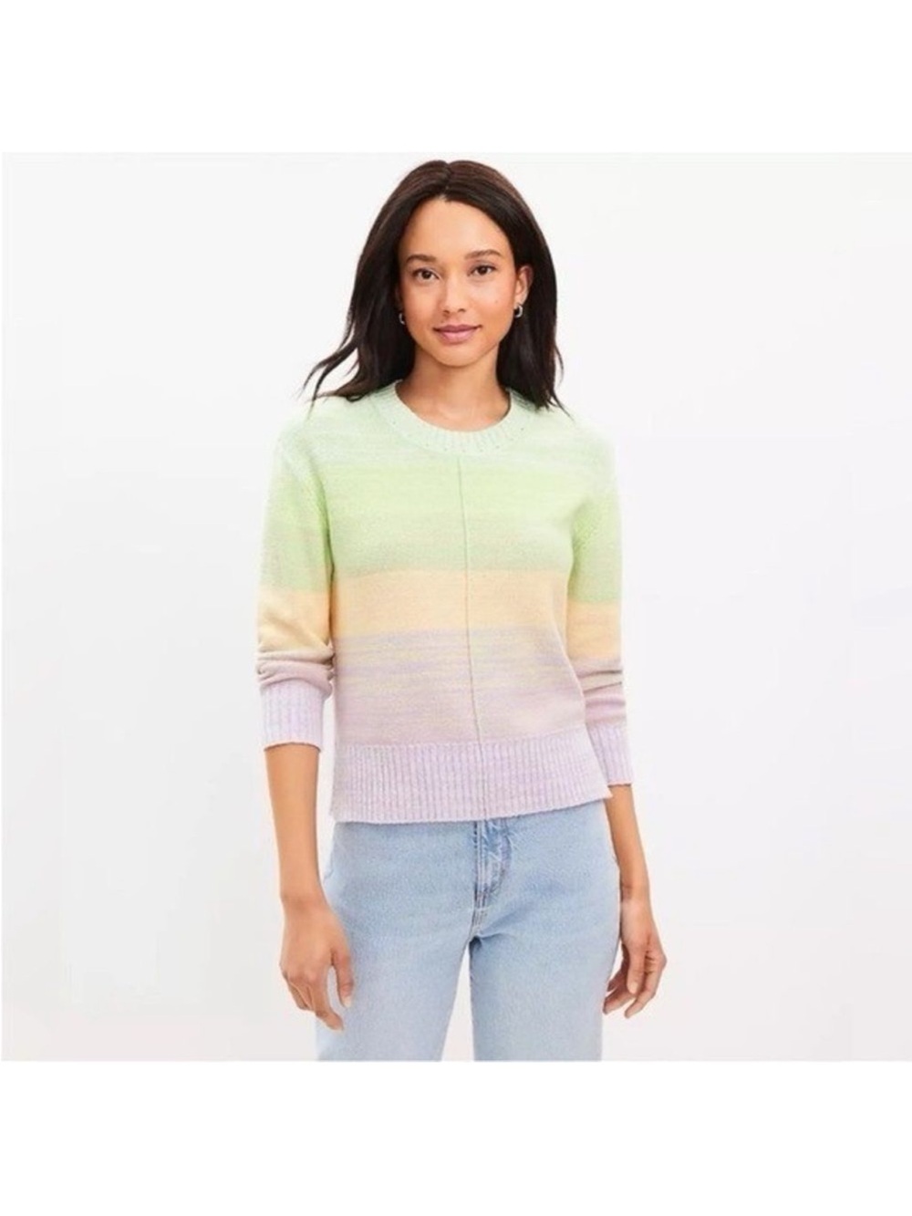 Ann Taylor LOFT Striped Ombre Knit Crewneck Pullover Sweater